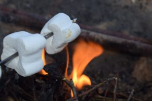 fire, marshmallow, camping